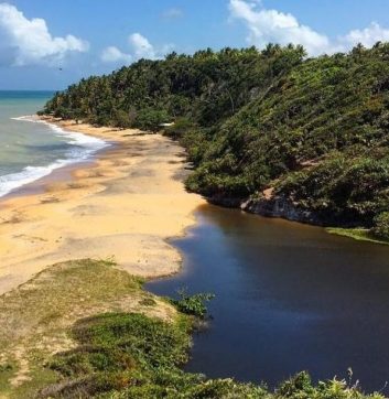 Plages secrètes de Bahia : refuges paradisiaques pour se détendre au Brésil