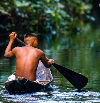 IMMERSION DANS LA FORÊT AMAZONIENNE