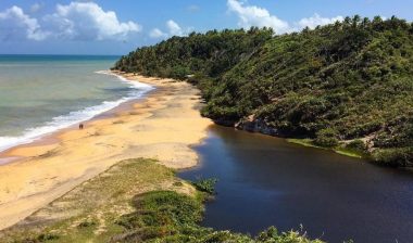 Plages secrètes de Bahia : refuges paradisiaques pour se détendre au Brésil